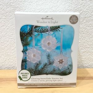 2010 Hallmark Wonder & Light Glowing Snowflake Starter Set with Magic Cord